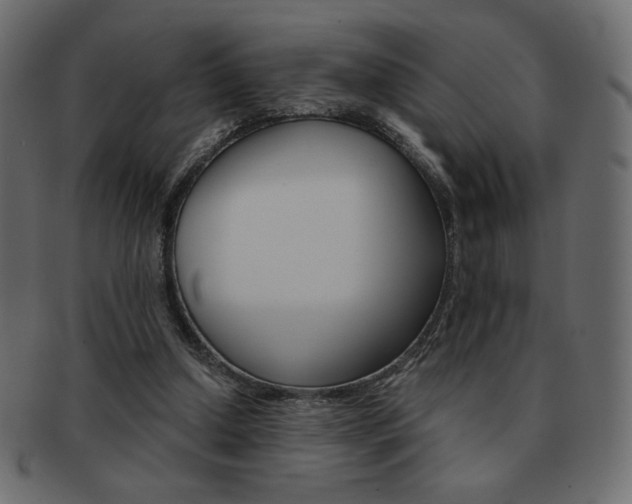 X0000093150250200709261022