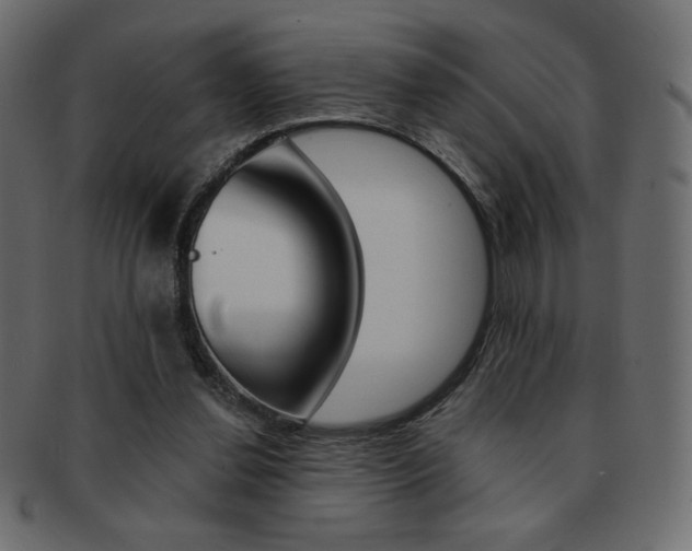 X0000093150252200709261022