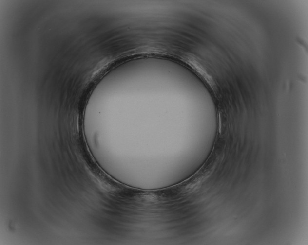 X0000093150253200709261022