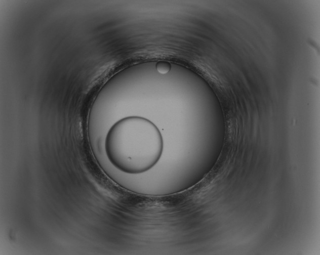 X0000093150254200709261022