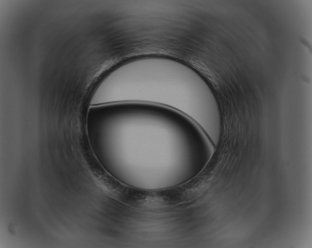 X0000093150256200709261022