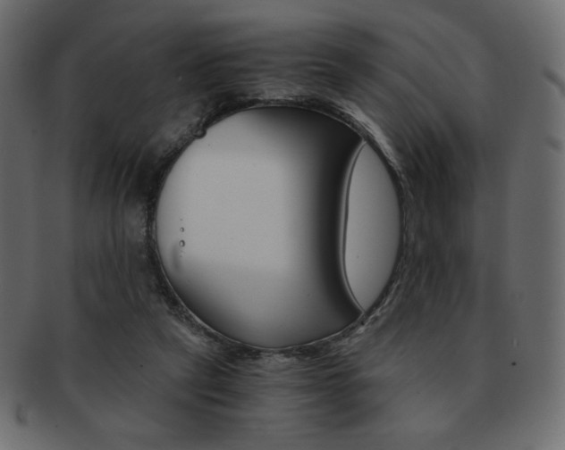 X0000093150257200709261022