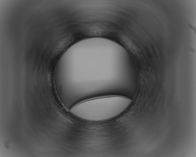 X0000093150258200709261022