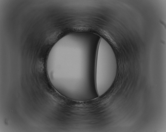 X0000093150259200709261022