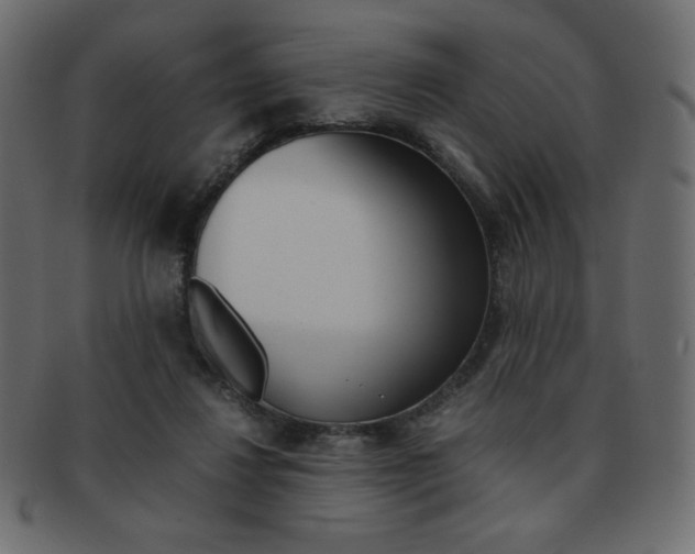 X0000093150260200709261022