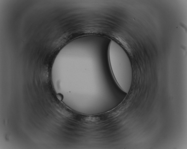 X0000093150261200709261022