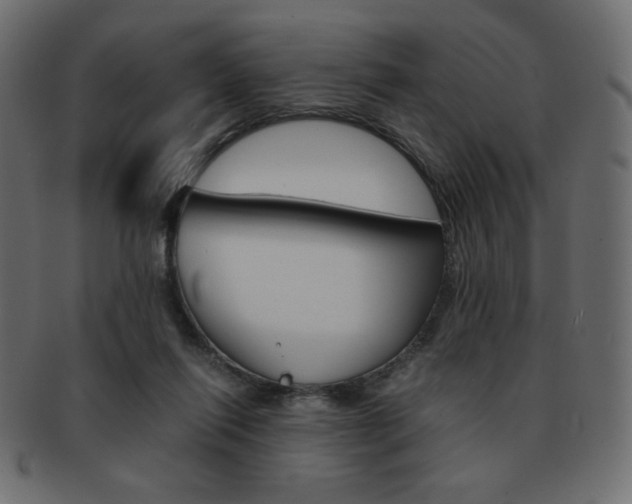 X0000093150262200709261022