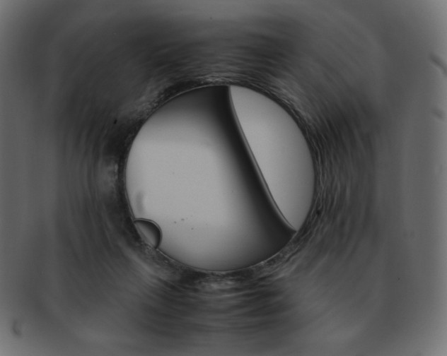 X0000093150263200709261022