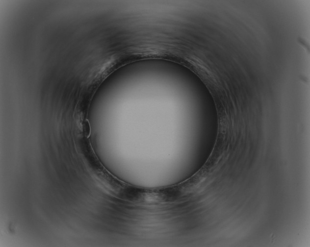 X0000093150264200709261022
