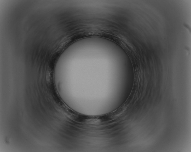 X0000093150266200709261022
