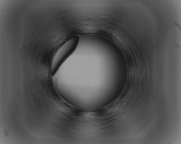 X0000093150268200709261022