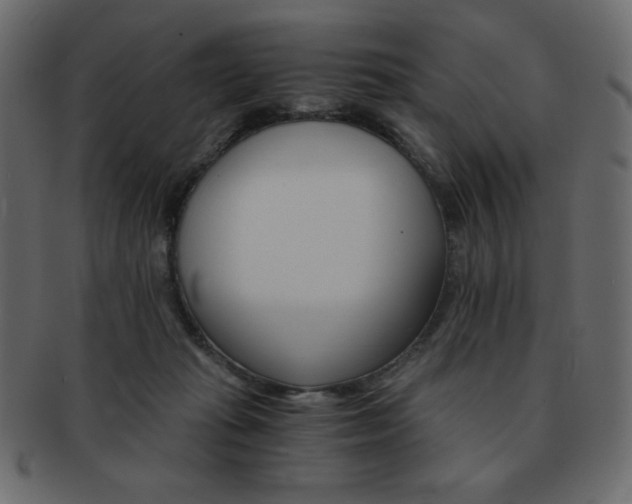 X0000093150269200709261022