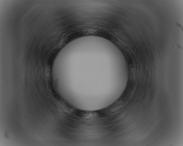 X0000093150274200709261022