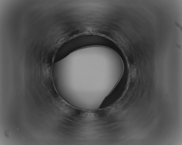 X0000093150276200709261022