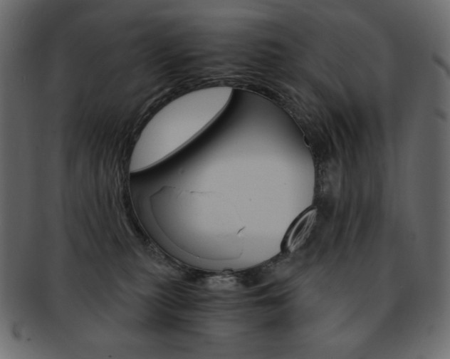 X0000093150279200709261022