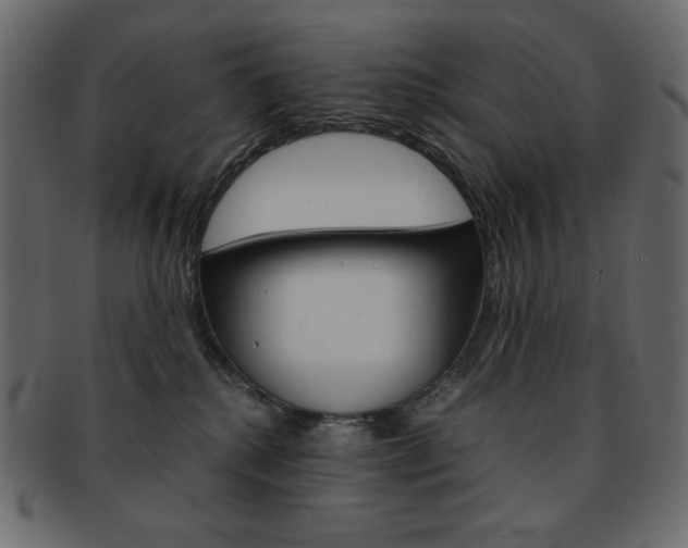 X0000093150280200709261022