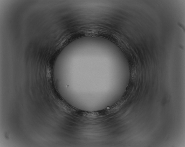 X0000093150282200709261022