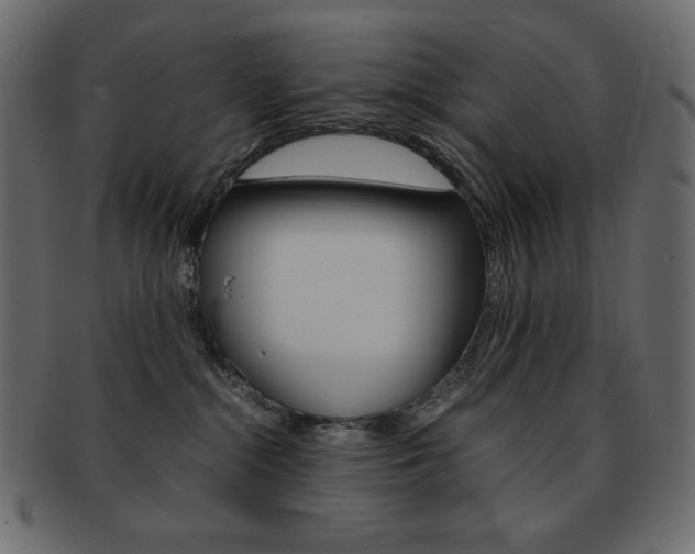 X0000093150284200709261022