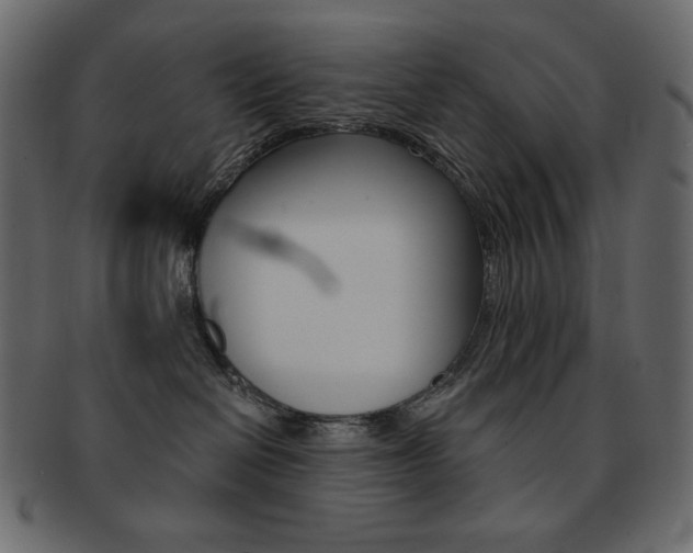 X0000093150286200709261022