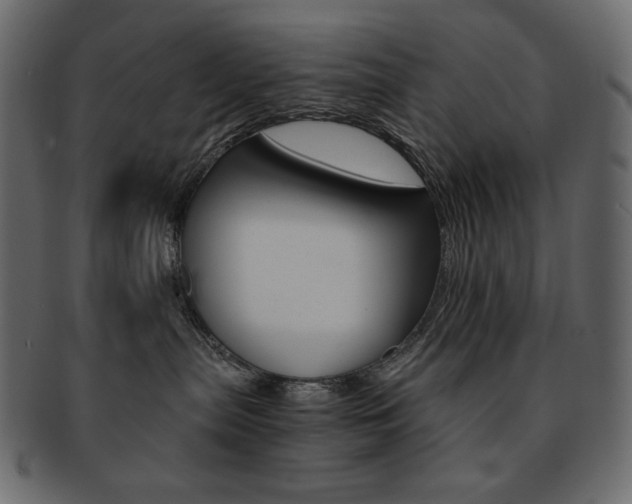 X0000093150287200709261022