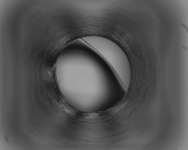X0000093150288200709261022