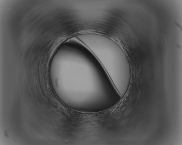 X0000093150289200709261022
