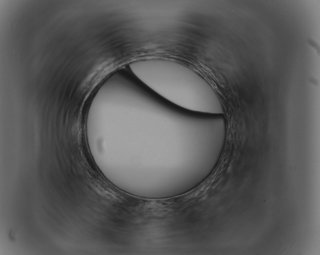 X0000093150290200709261022