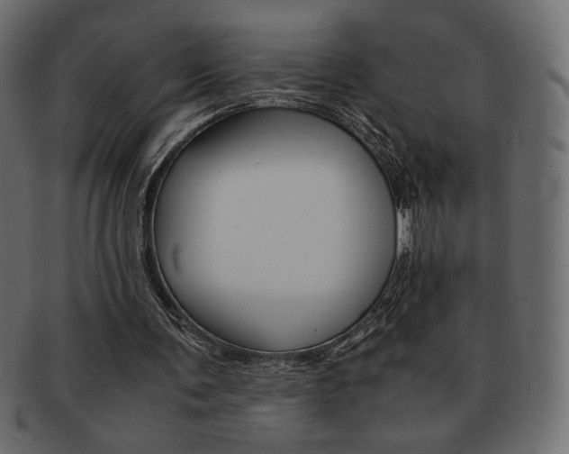 X0000093150291200709261022