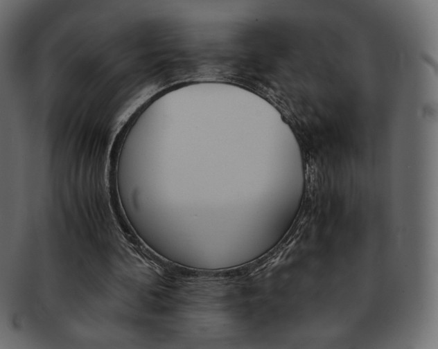X0000093150292200709261022