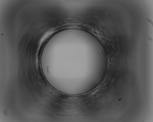 X0000093150294200709261022
