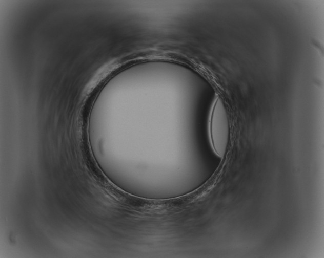 X0000093150295200709261022