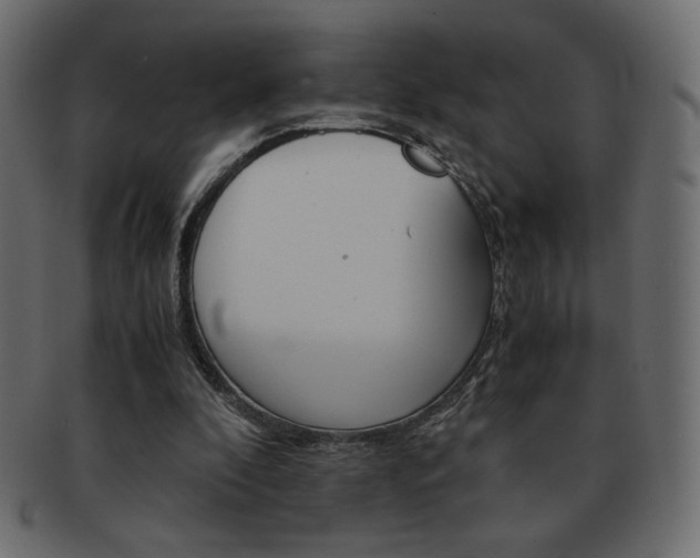 X0000093150296200709261022