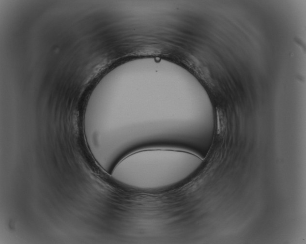 X0000093150300200709261022
