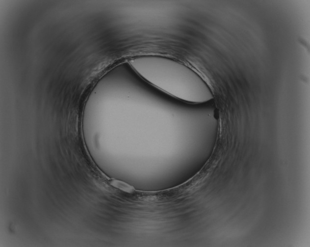 X0000093150301200709261022