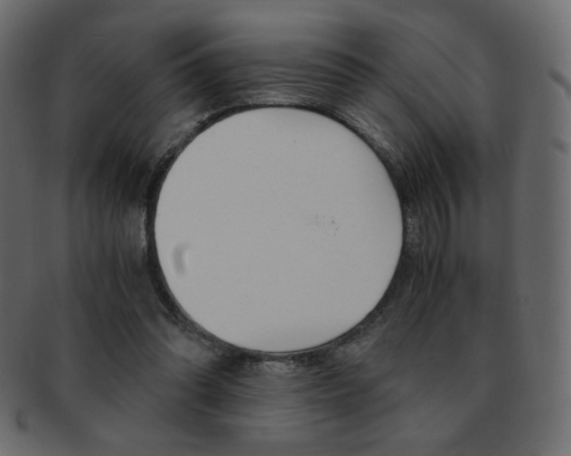 X0000093150302200709261022