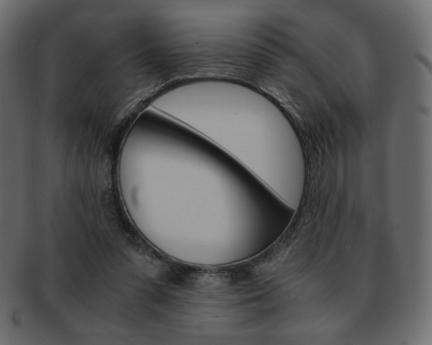 X0000093150303200709261022