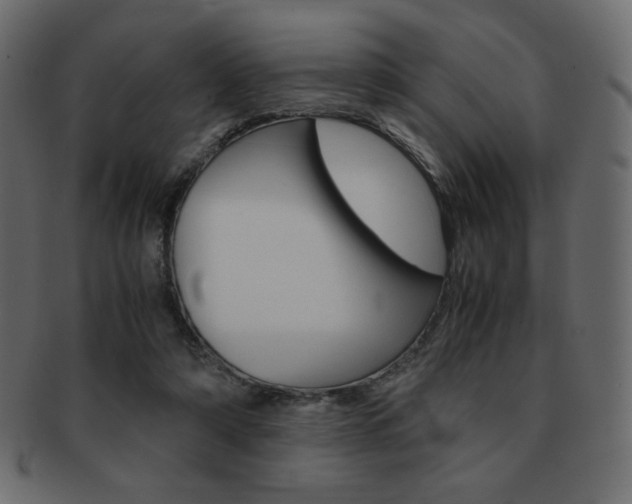 X0000093150306200709261022