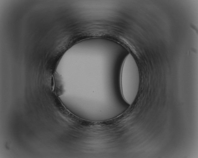 X0000093150307200709261022
