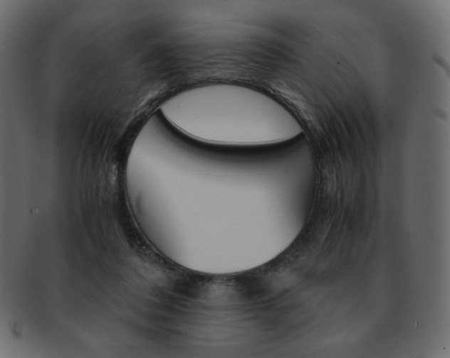 X0000093150308200709261021