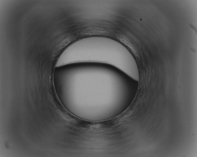 X0000093150309200709261021