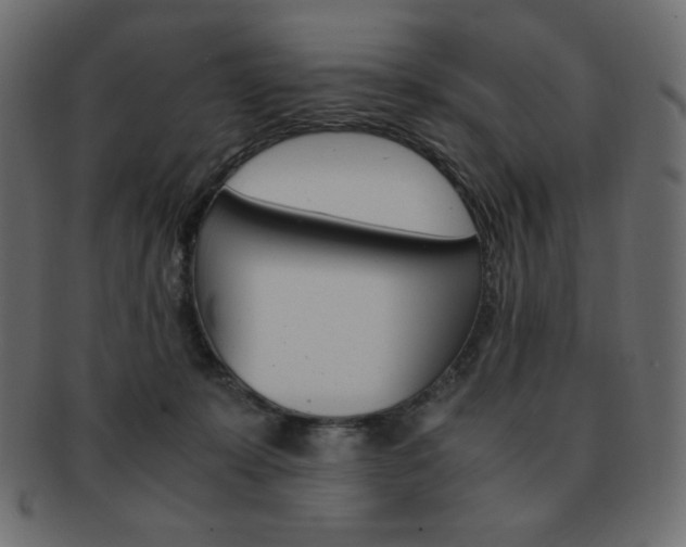 X0000093150319200709261021