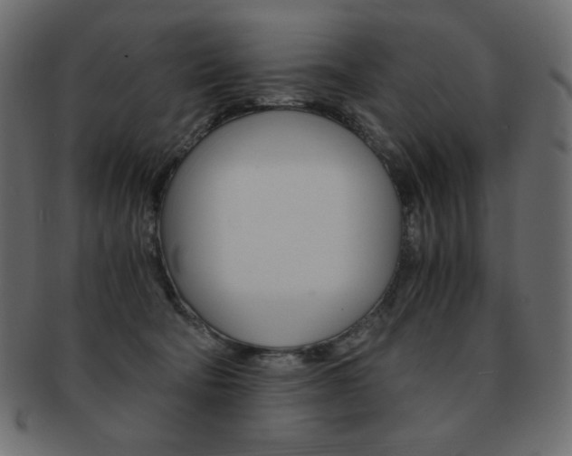 X0000093150322200709261021
