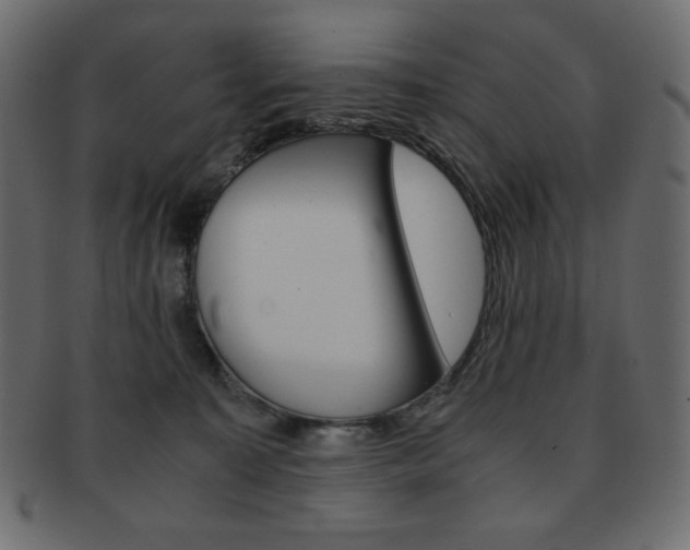 X0000093150323200709261021