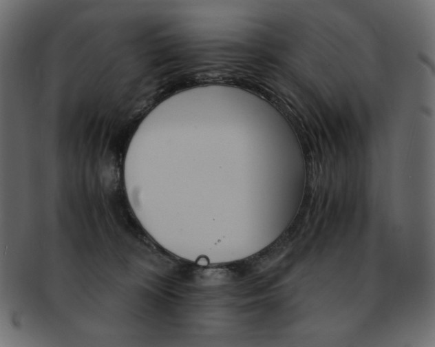 X0000093150324200709261021