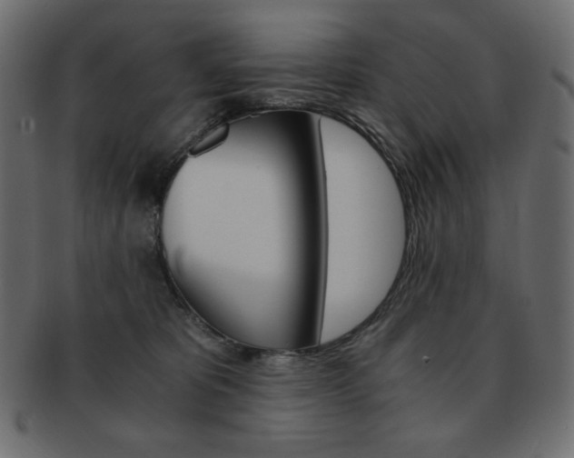 X0000093150325200709261021