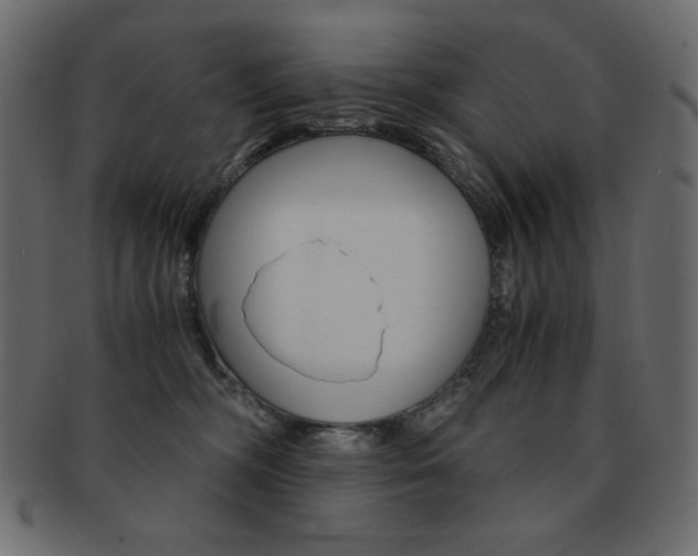 X0000093150326200709261021