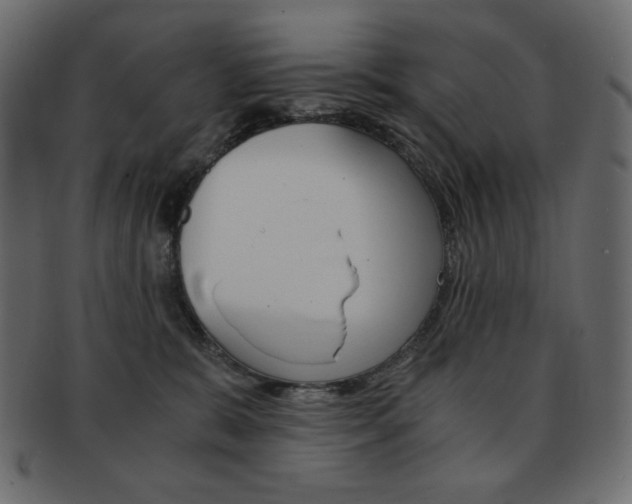 X0000093150327200709261021