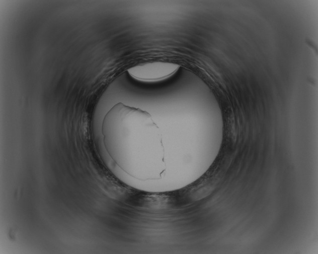 X0000093150328200709261021