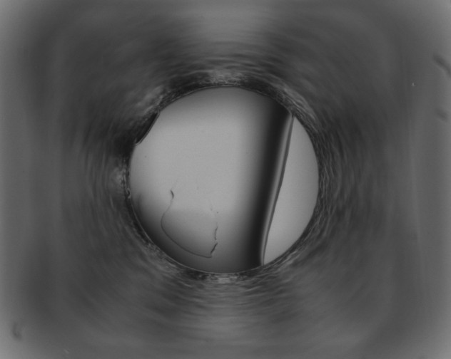 X0000093150329200709261021