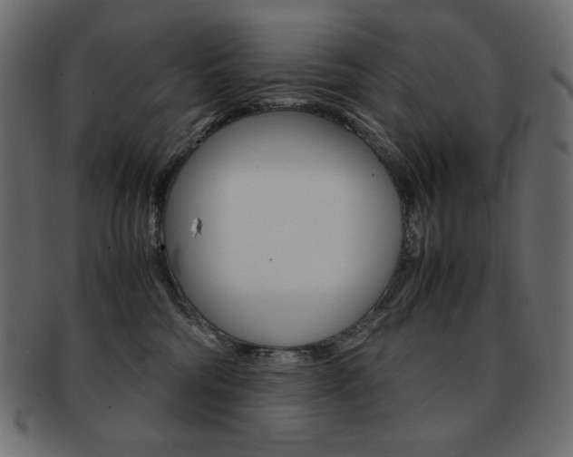 X0000093150330200709261021